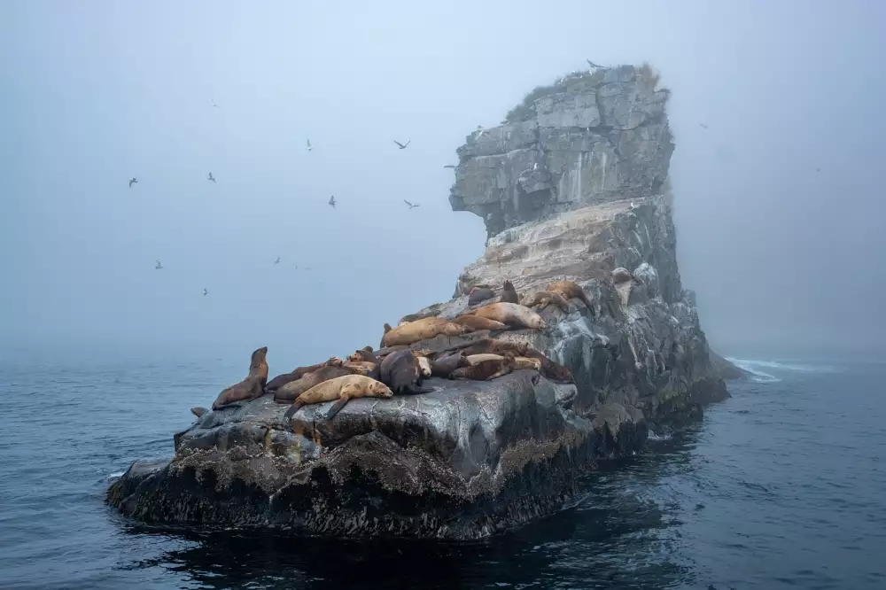 Island Dovolená Zkušenosti